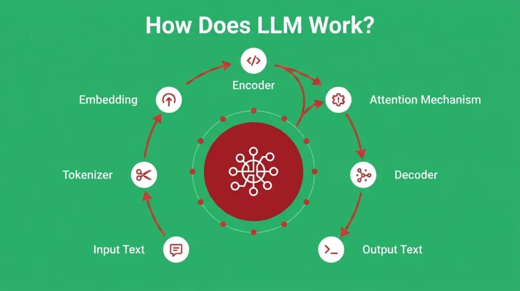 How Do LLMs Actually Work?