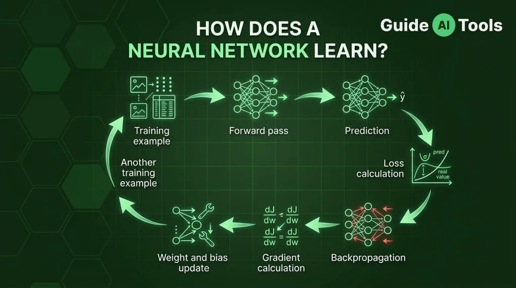 How Does a Neural Network Learn?